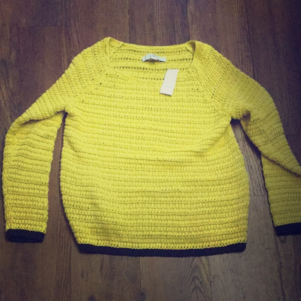 Loft Sweater
